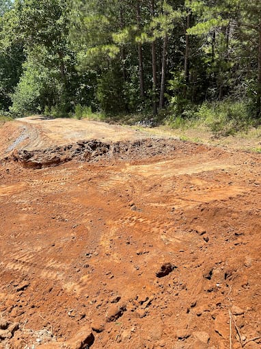 A dirt path with large ruts extends through a wooded area, surrounded by trees and underbrush.